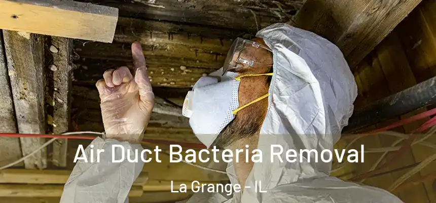  Air Duct Bacteria Removal La Grange - IL
