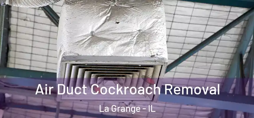  Air Duct Cockroach Removal La Grange - IL