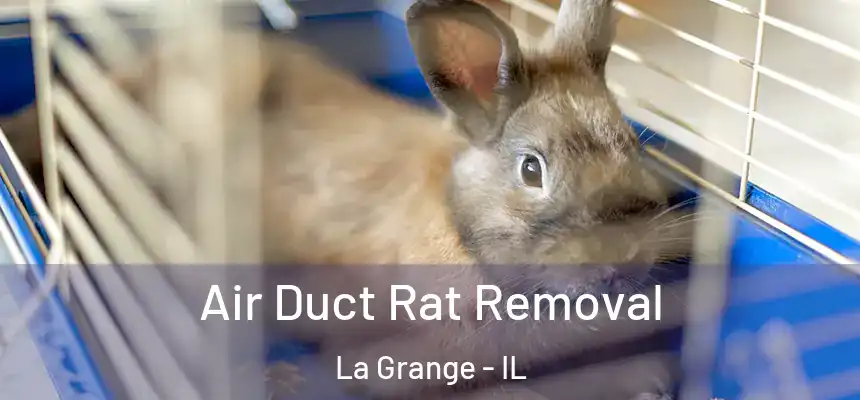  Air Duct Rat Removal La Grange - IL