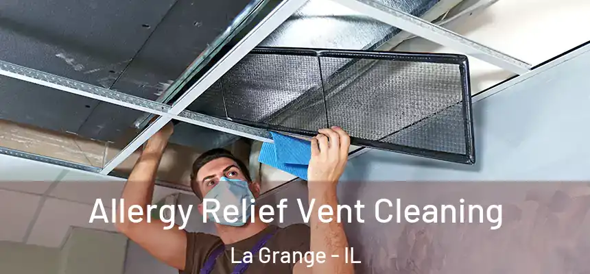  Allergy Relief Vent Cleaning La Grange - IL