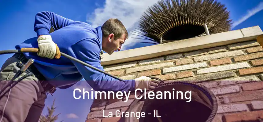Chimney Cleaning La Grange - IL