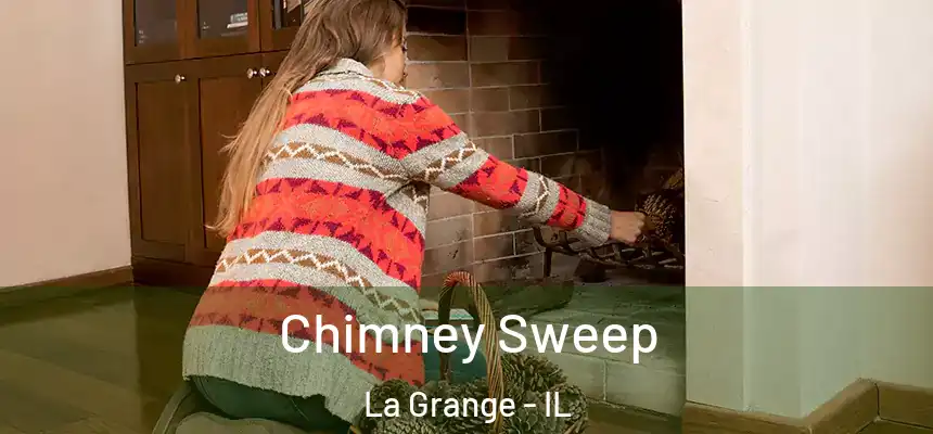  Chimney Sweep La Grange - IL