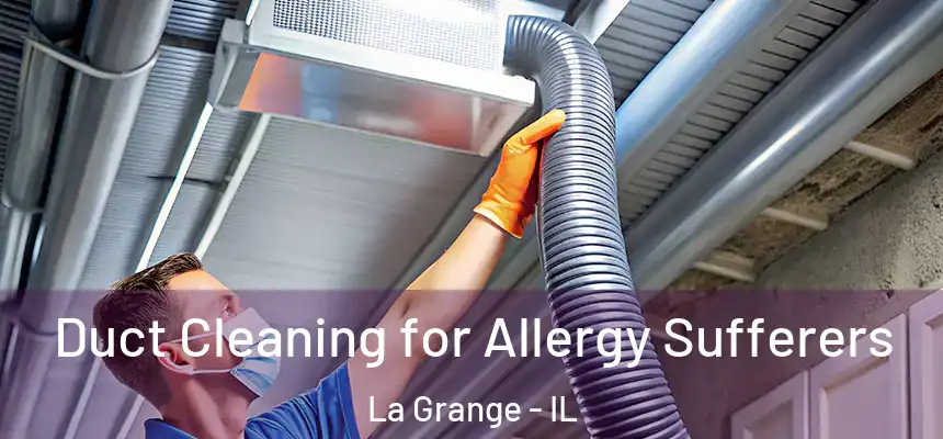 Duct Cleaning for Allergy Sufferers La Grange - IL