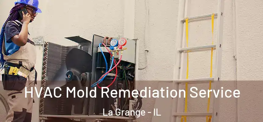 HVAC Mold Remediation Service La Grange - IL