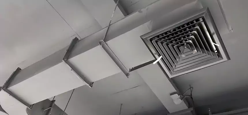 Restorative Allergy Relief Vent Cleaning – Coil, Blower & Housing Detail in La Grange