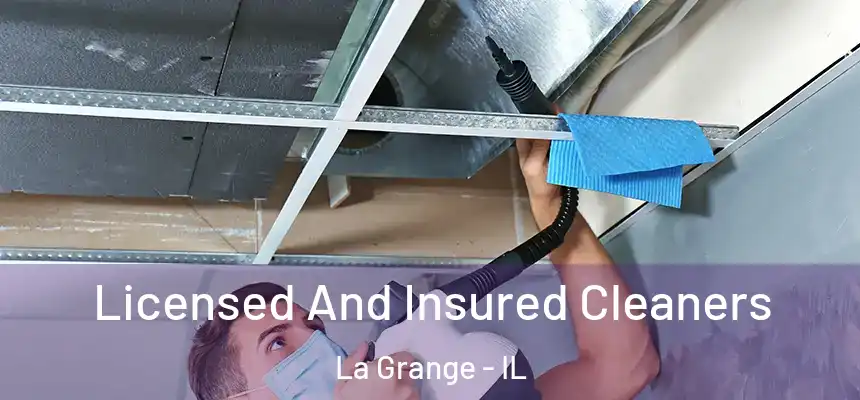  Licensed And Insured Cleaners La Grange - IL