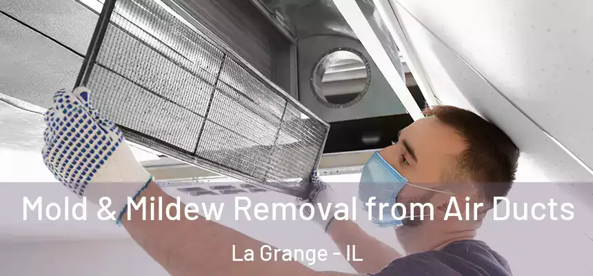  Mold & Mildew Removal from Air Ducts La Grange - IL