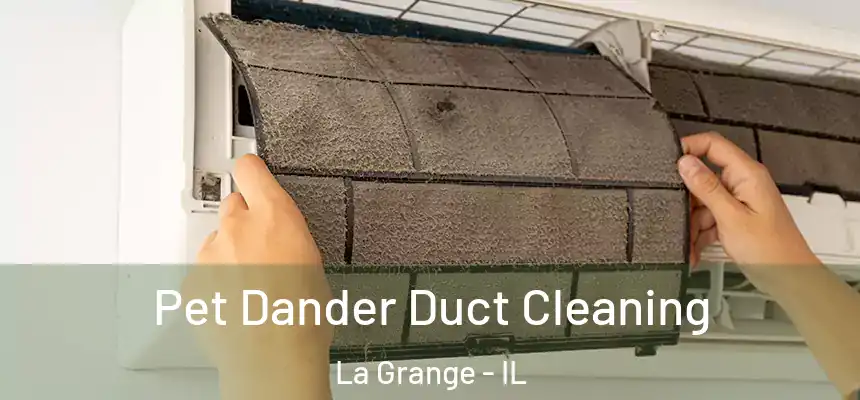  Pet Dander Duct Cleaning La Grange - IL