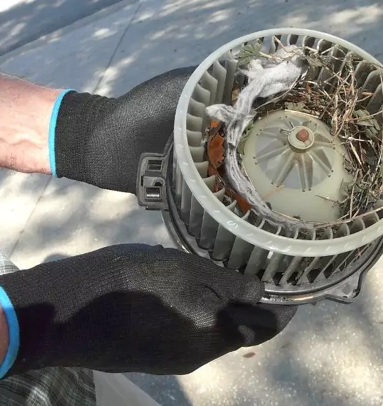 About Air Duct Mice Removal in La Grange, IL