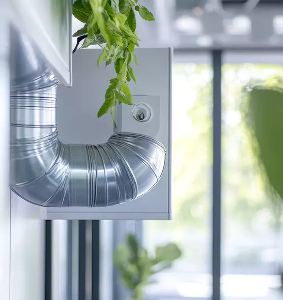 Professional Eco-Friendly Duct Cleaning Services in La Grange, IL