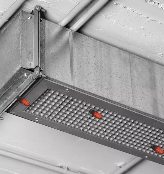 Affordable Insect Removal from Air Ducts in La Grange, IL