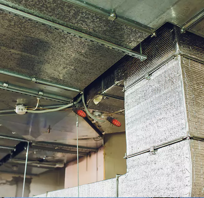 Why Homeowners & Businesses Trust Us in La Grange, IL?