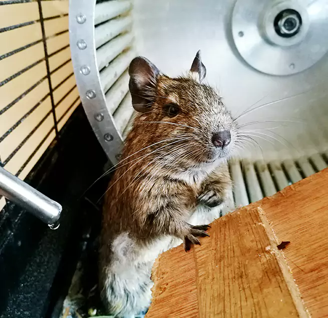 Why Homeowners & Businesses Trust Us La Grange, IL?