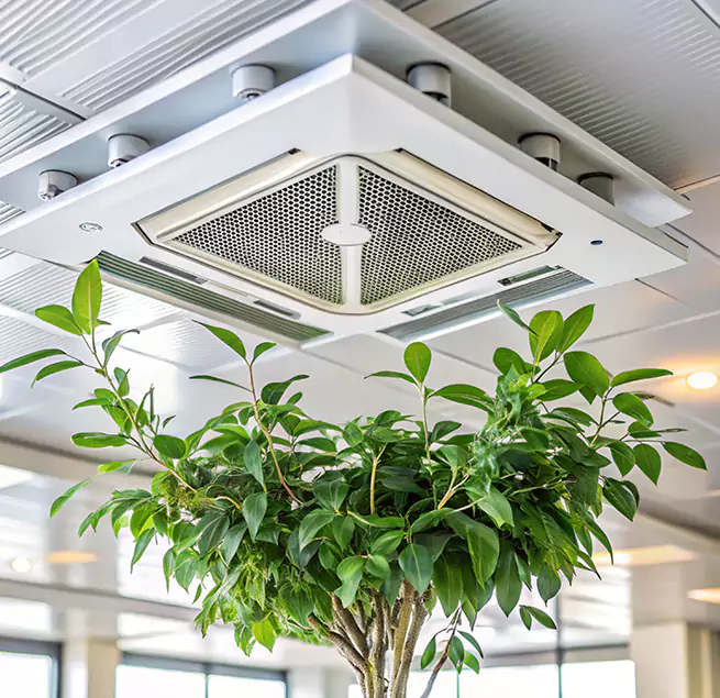 Why Homeowners & Businesses Trust Us in La Grange, IL